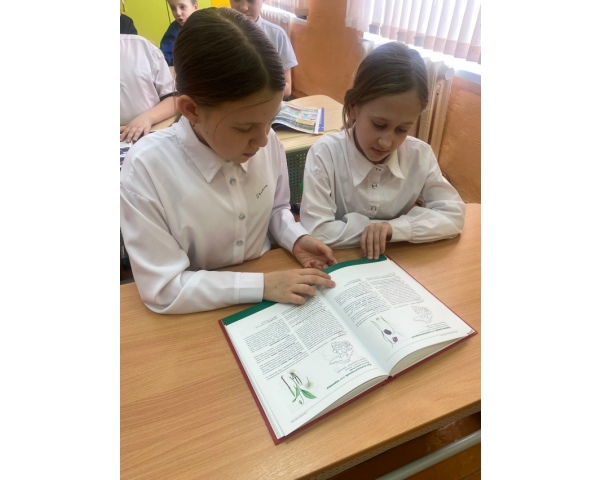 Для учащихся3-4 классов прошел познавательный час «Природный калейдоскоп», посвященный Всемирному дню дикой, празднуемый 3 марта.