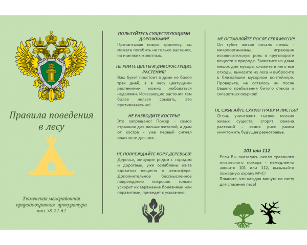 Правила поведения в лесу